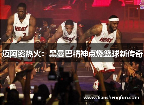 迈阿密热火:黑曼巴精神点燃篮球新传奇 迈阿密热火:黑曼巴精神点燃篮球新传奇